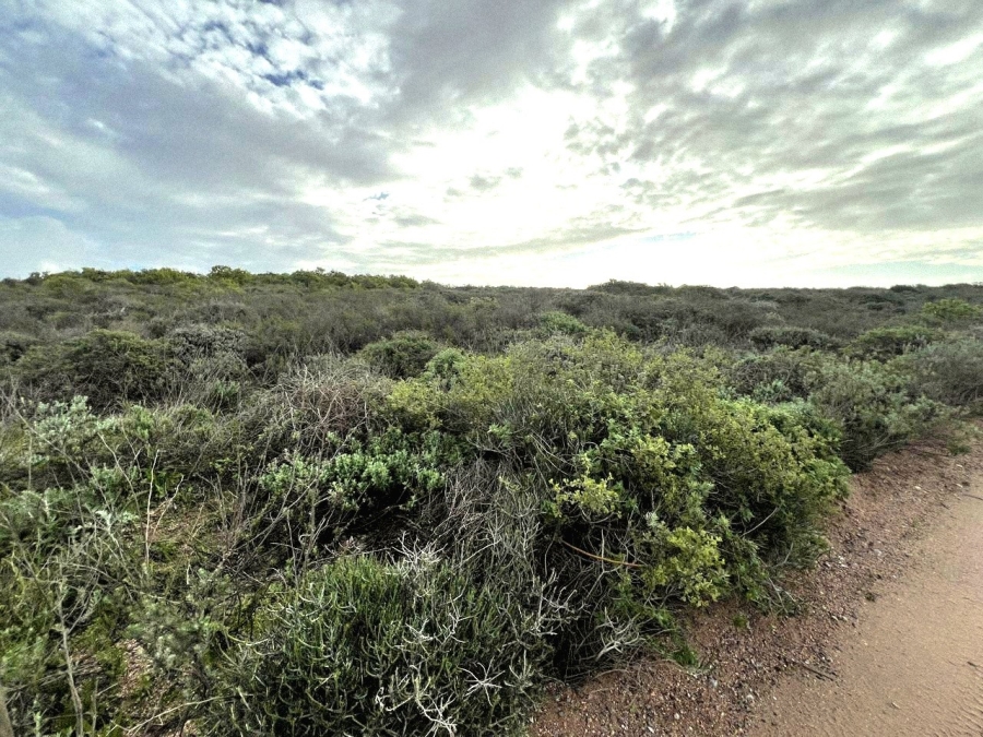  Bedroom Property for Sale in Britannica Heights Western Cape